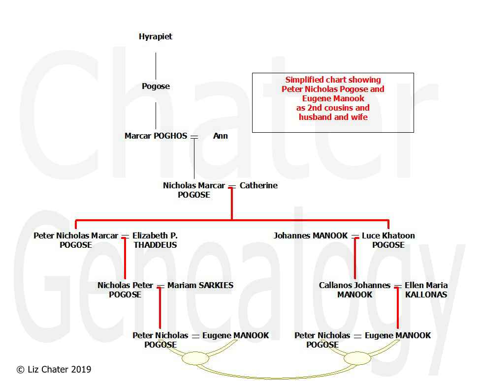 Simplified chart showing Peter Nicholas Pogose + Eugene Manook as 2nd cousins